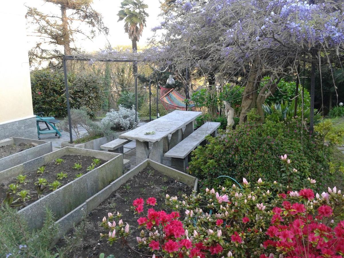 Nebbiuno Swanlake Rooms מראה חיצוני תמונה