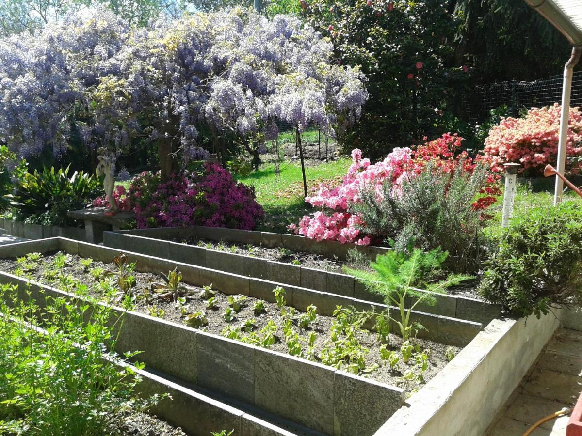 Nebbiuno Swanlake Rooms מראה חיצוני תמונה