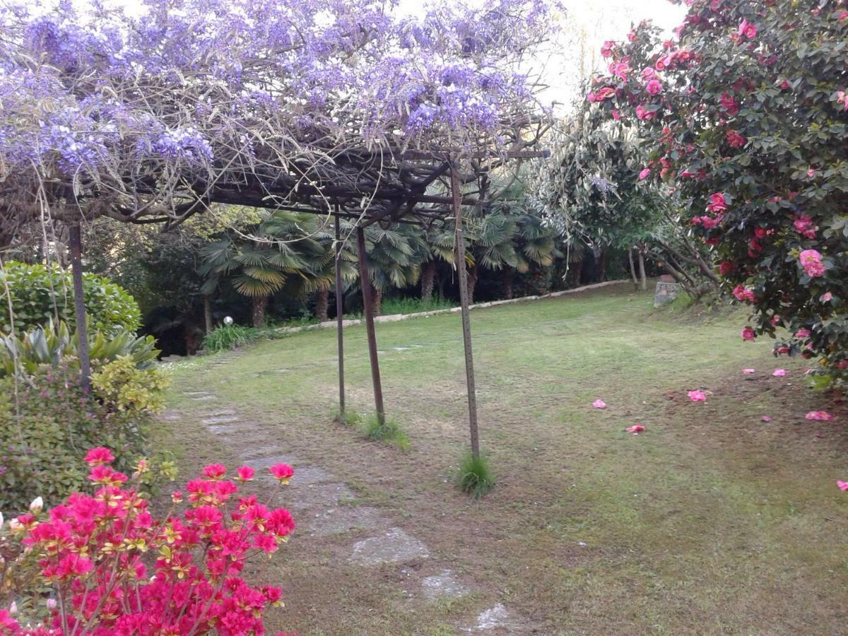 Nebbiuno Swanlake Rooms מראה חיצוני תמונה